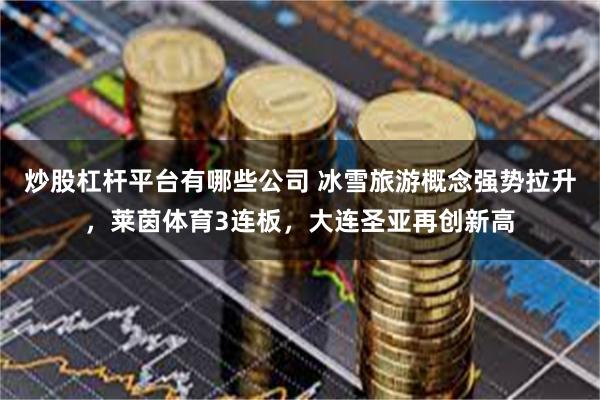 炒股杠杆平台有哪些公司 冰雪旅游概念强势拉升，莱茵体育3连板，大连圣亚再创新高