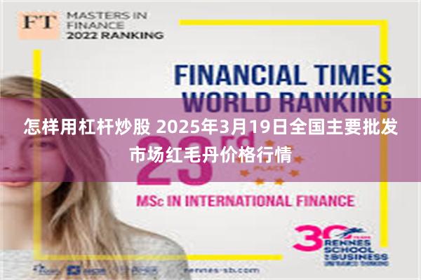 怎样用杠杆炒股 2025年3月19日全国主要批发市场红毛丹价格行情