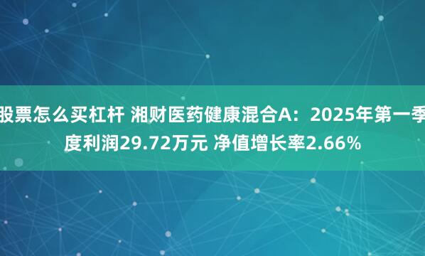 股票怎么买杠杆 湘财医药健康混合A：2025年第一季度利润29.72万元 净值增长率2.66%