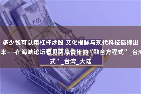 多少钱可以用杠杆炒股 文化根脉与现代科技碰撞出青春未来——在海峡论坛看见两岸青年的“融合方程式”_台湾_大陆