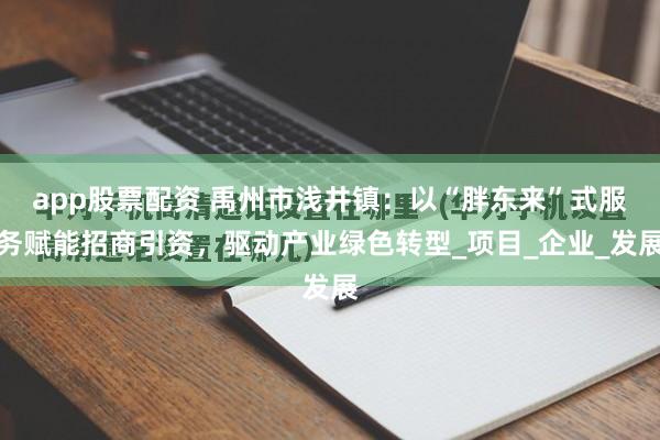 app股票配资 禹州市浅井镇：以“胖东来”式服务赋能招商引资，驱动产业绿色转型_项目_企业_发展