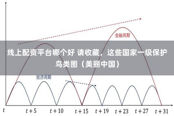 线上配资平台哪个好 请收藏，这些国家一级保护鸟类图（美丽中国）