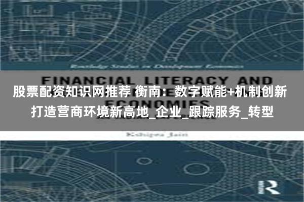股票配资知识网推荐 衡南：数字赋能+机制创新 打造营商环境新高地_企业_跟踪服务_转型