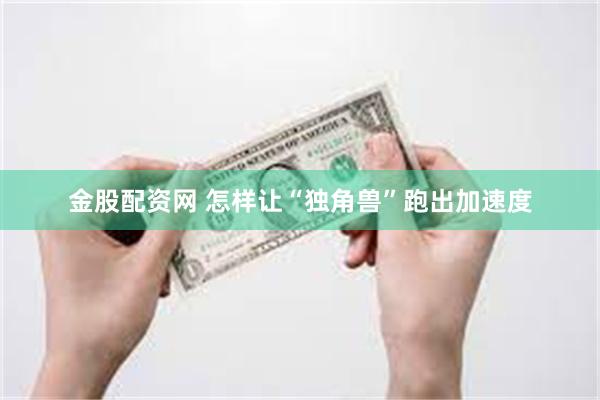 金股配资网 怎样让“独角兽”跑出加速度